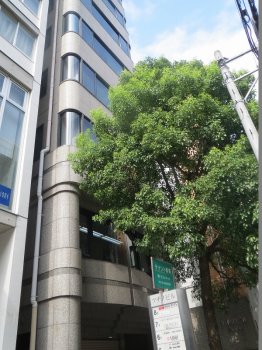 スミコー南船場ビル（旧ツチノビル）